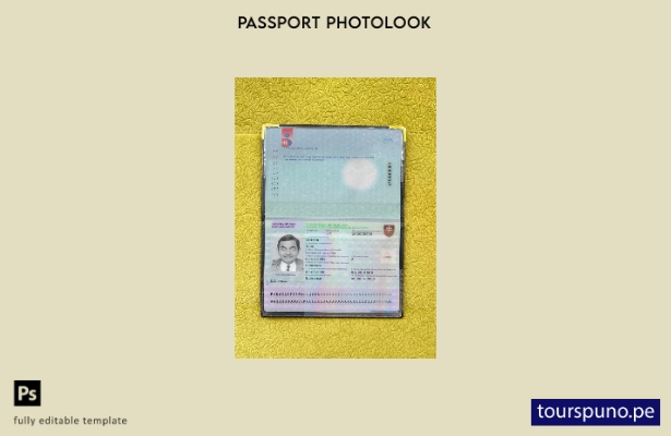 listo para imprimir plantilla de aspecto fotográfico de la versión del pasapor 1